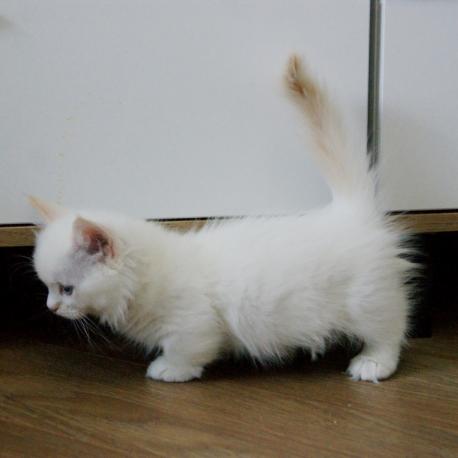 Yogurt